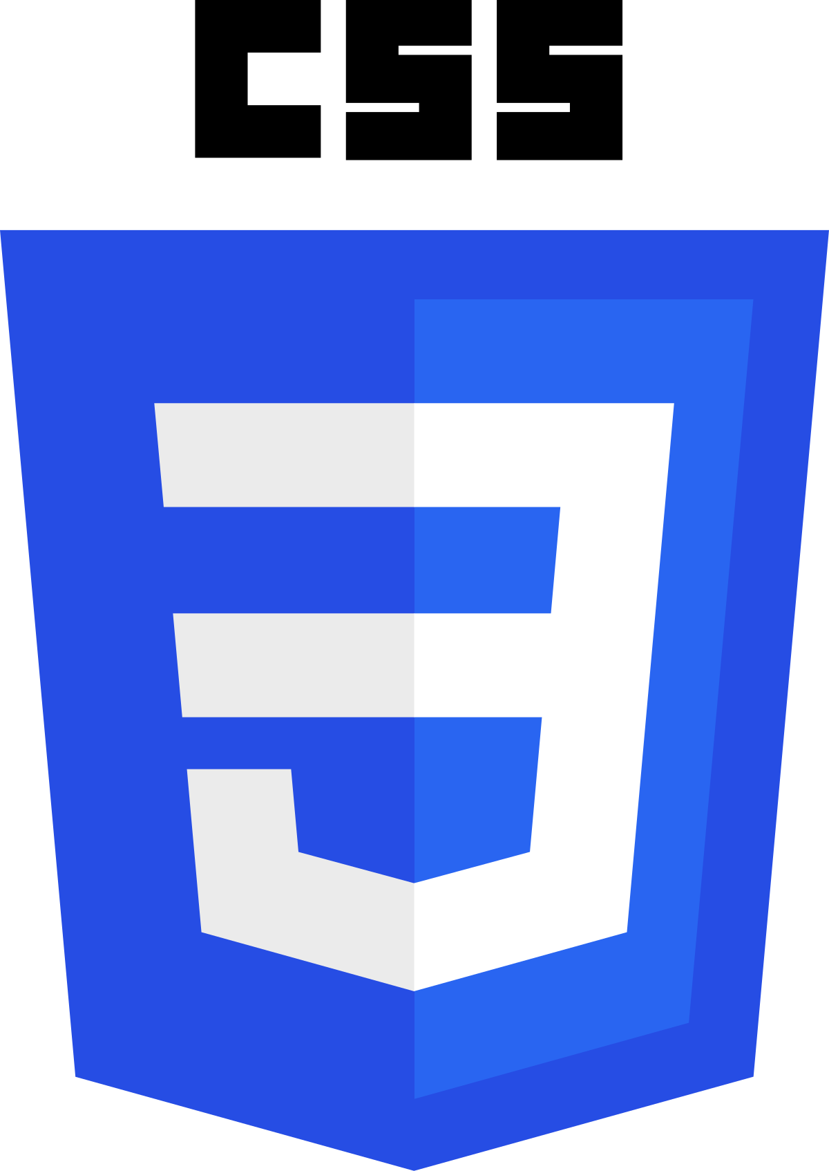CSS3 Logo And Wordmark.svg